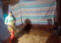 Pohon Kelapa Tumbang Timpa Rumah Warga di Bangkelang