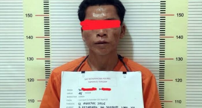 Polisi Ringkus Nelayan Pengedar Ganja di Sibolga Utara