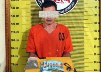Polres Padangsidimpuan Tangkap Pengedar Ganja