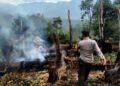 Sinyal Lancang Kuning Berbunyi, Polsek SD Hole Kejar Titik Api di Hutan Tapsel