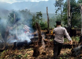 Sinyal Lancang Kuning Berbunyi, Polsek SD Hole Kejar Titik Api di Hutan Tapsel