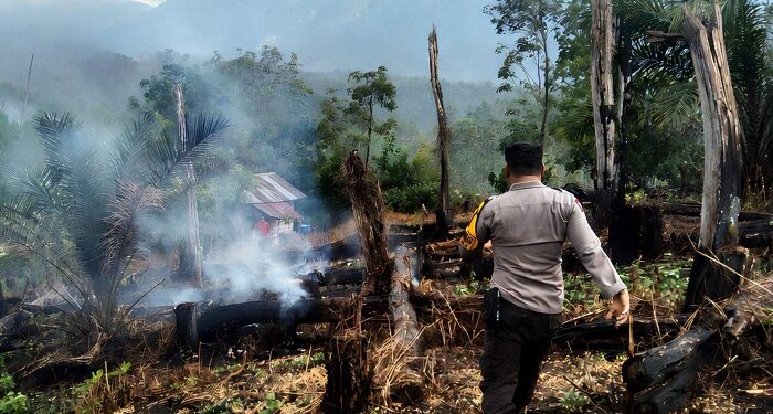 Sinyal Lancang Kuning Berbunyi, Polsek SD Hole Kejar Titik Api di Hutan Tapsel