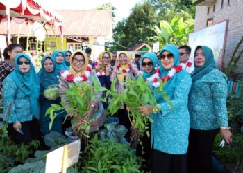 Sulap Pekarangan Jadi Pangan, Desa Maga Dolok Incar Juara Sumatera Utara