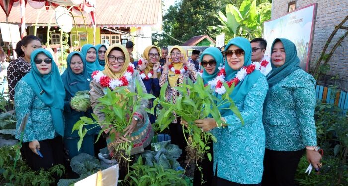 Sulap Pekarangan Jadi Pangan, Desa Maga Dolok Incar Juara Sumatera Utara