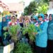 Sulap Pekarangan Jadi Pangan, Desa Maga Dolok Incar Juara Sumatera Utara