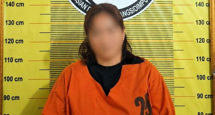 Bawa Sabu 4,37 Gram, Perempuan di Padangsidimpuan Ditangkap Polisi