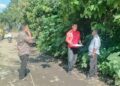 Camat Tambangan dan Dinas PUPR Survei Pengaspalan Jalan Laru Lombang-Tambangan Jae