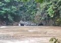 Sopir Ngantuk, Minibus Asal Padang Terjun ke Sungai di Kotanopan