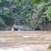 Sopir Ngantuk, Minibus Asal Padang Terjun ke Sungai di Kotanopan