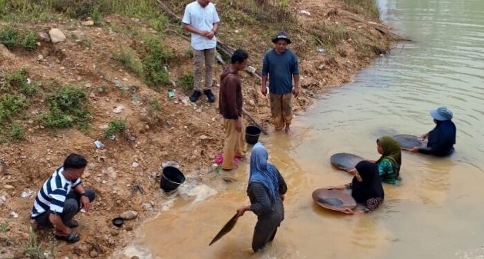 Dilema PETI Pulo Padang, GEMPSU Desak Pemkab Madina Buka Dialog dan Opsi Ekonomi
