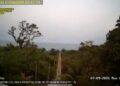 Gunung Anak Krakatau Masih Erupsi