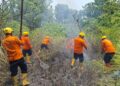 Asap Ancam Permukiman, BPBD Madina Tangani Kebakaran Bukit Cemara