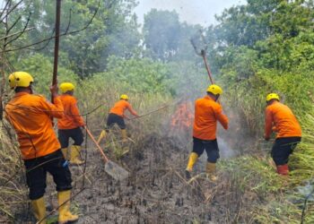Asap Ancam Permukiman, BPBD Madina Tangani Kebakaran Bukit Cemara