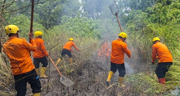 Asap Ancam Permukiman, BPBD Madina Tangani Kebakaran Bukit Cemara