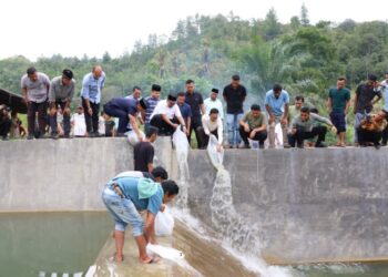 Bupati Tapsel Resmikan Bendungan Batu Tunggal, Air Kembali Basahi 200 Hektare Sawah