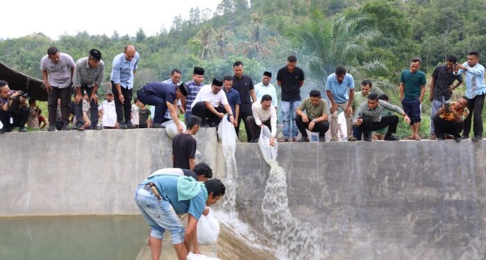 Bupati Tapsel Resmikan Bendungan Batu Tunggal, Air Kembali Basahi 200 Hektare Sawah