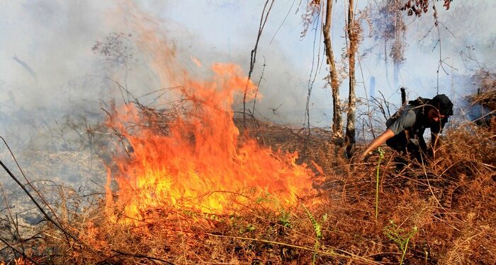 Karhutla Hanguskan 30 Hektare Lahan di Madina, Urutan Ketiga Terluas di Sumut