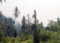 Kabut Asap Misterius Selimuti Madina, Warga Diminta Pakai Masker