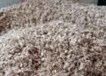 Peluang Bisnis, Bonggol Jagung Sumut Tembus Pasar Jepang