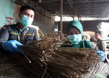 Peluang Bisnis, Ekspor Limbah Lidi Sawit Sumut Tembus Rp197 Miliar