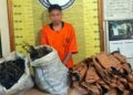 Polres Padangsidimpuan Tangkap Kurir 10 Kilogram Ganja