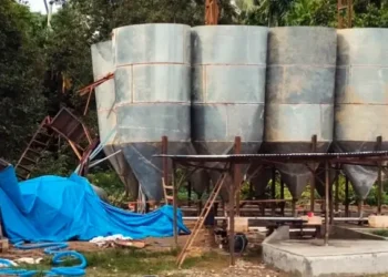 Satu Warga Tewas Tertimpa Tong Pengolahan Emas Ilegal di Hutabargot, Polisi Segera Selidiki