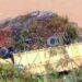 Tiga Orang Luka Akibat Truk yang Diduga Angkut Solar Ilegal Terjun ke Sungai di Batangnatal