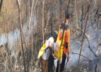 BPBD Sumut: 30 Hektare Lahan Hangus Terbakar di Madina