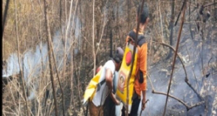 BPBD Sumut: 30 Hektare Lahan Hangus Terbakar di Madina