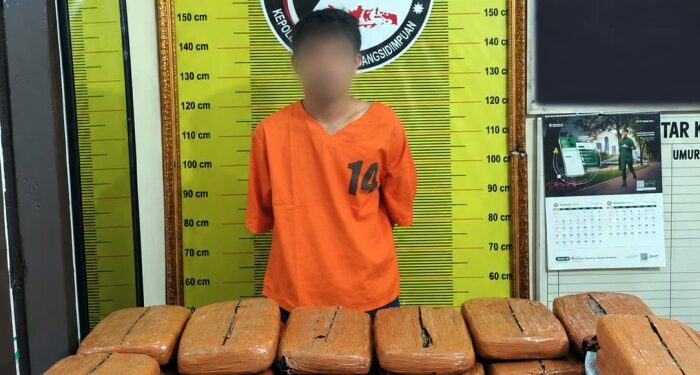 Bawa 20 Kg Ganja hingga Gigit Polisi, Kurir Asal Tapsel Ditangkap di Padangsidimpuan