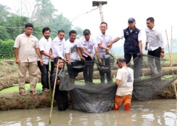 Defisit Anggaran Mengintai, Tapsel Genjot Sektor Perikanan Rakyat
