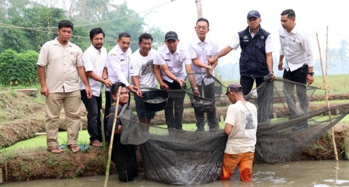 Defisit Anggaran Mengintai, Tapsel Genjot Sektor Perikanan Rakyat