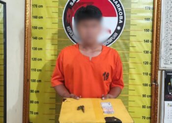 Ganja Bentuk Lemang Gagal Beredar di Padangsidimpuan