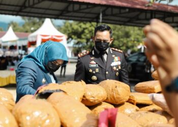 Wabup Madina Dorong Operasi Khusus Narkoba Modus Vape