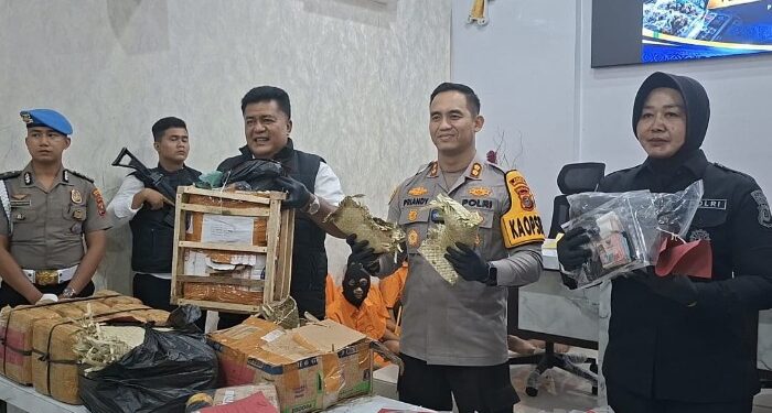 Polres Madina Gagalkan Penyeludupan Ganja Bermodus Kemasan Dodol dan Gula Merah