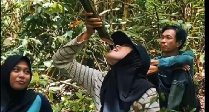 Kalau Kehabisan Air di Belantara TNBG, Minum Saja dari Tumbuhan Liana
