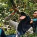 Kalau Kehabisan Air di Belantara TNBG, Minum Saja dari Tumbuhan Liana