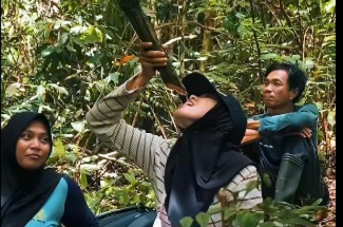 Kalau Kehabisan Air di Belantara TNBG, Minum Saja dari Tumbuhan Liana