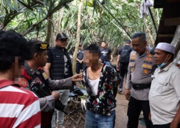 Kebun Salak Jadi Sarang Sabu, Kapolres Tapsel Obrak-abrik Transaksi Narkoba