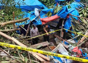 Polisi Segel Tambang Emas Ilegal Usai Insiden Maut Pekerja Tertimpa Pohon di Kotanopan