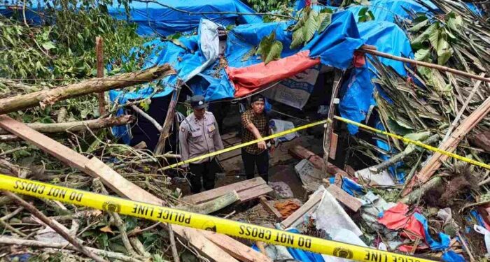 Polisi Segel Tambang Emas Ilegal Usai Insiden Maut Pekerja Tertimpa Pohon di Kotanopan