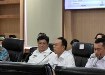 Siap Swasembada, Tapsel Perluas Lahan Tanam Bawang Putih