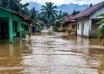 Sungai Parsariran Meluap, Banjir Rendam Permukiman Warga di Batangtoru