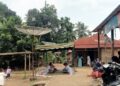 Terjadi Lagi, Pekerja Tambang Emas Ilegal di Kotanopan Tewas Tertimpa Pohon