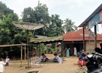 Terjadi Lagi, Pekerja Tambang Emas Ilegal di Kotanopan Tewas Tertimpa Pohon